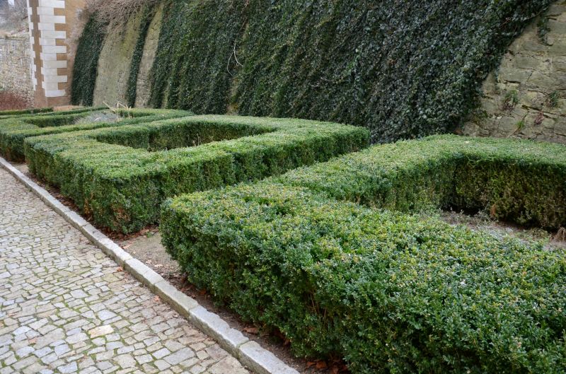 Decorative Borders