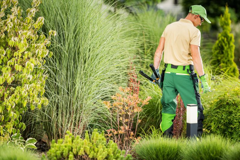 How Professional Landscaping Improves Curb Appeal