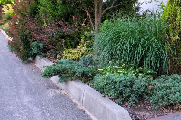 Curbing Installation - Curbing Installation Denver, Colorado